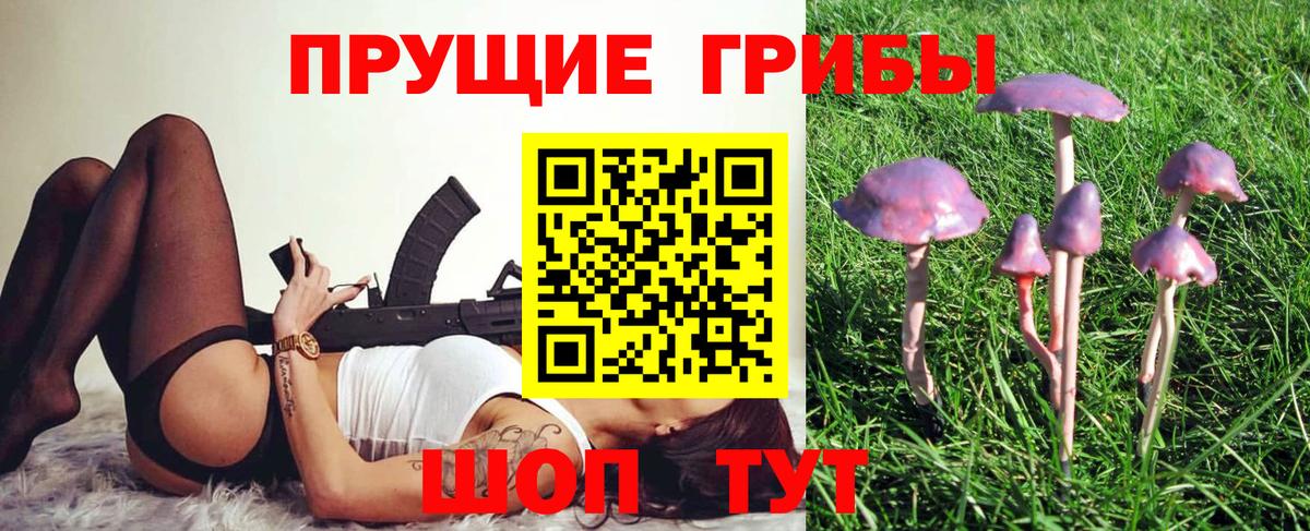 Амурск  Псилоцибиновые грибы Cubensis  Вход с VPN 