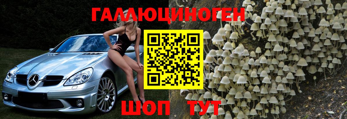 Галлюциногенные грибы GOLDEN TEACHER Амурск